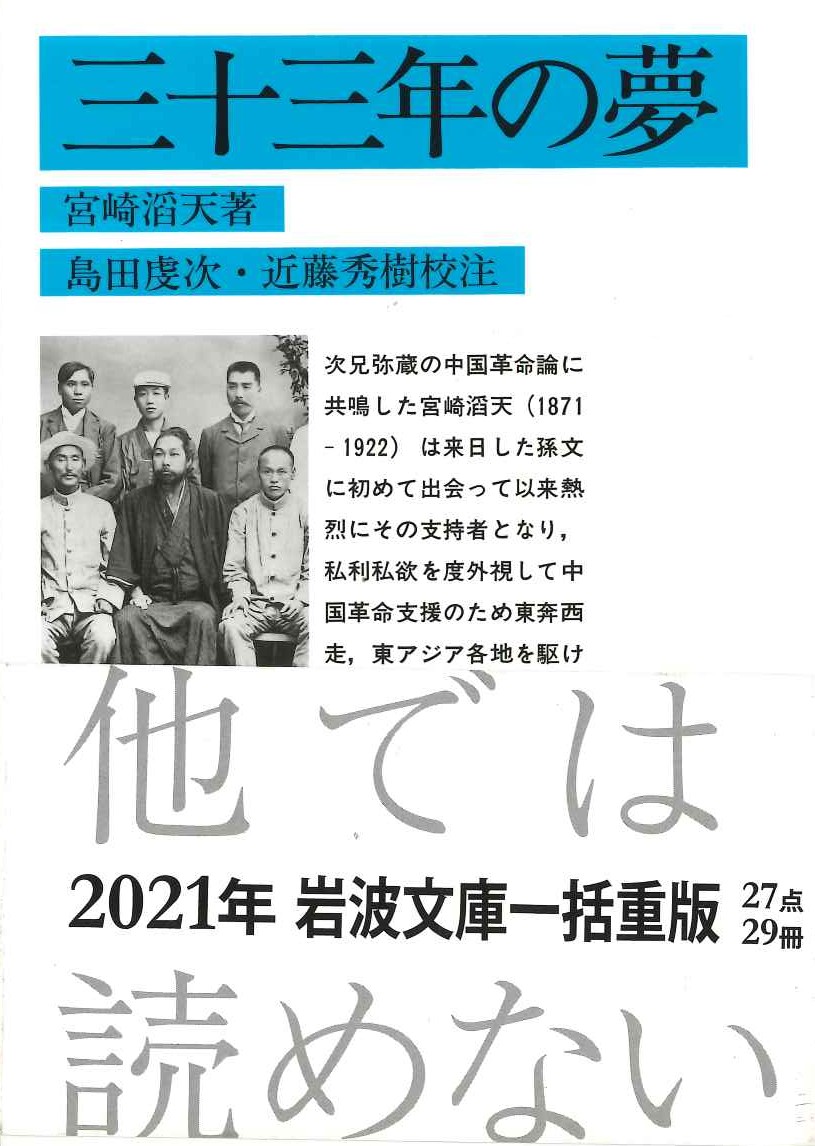 三十三年の夢(岩波文庫)
