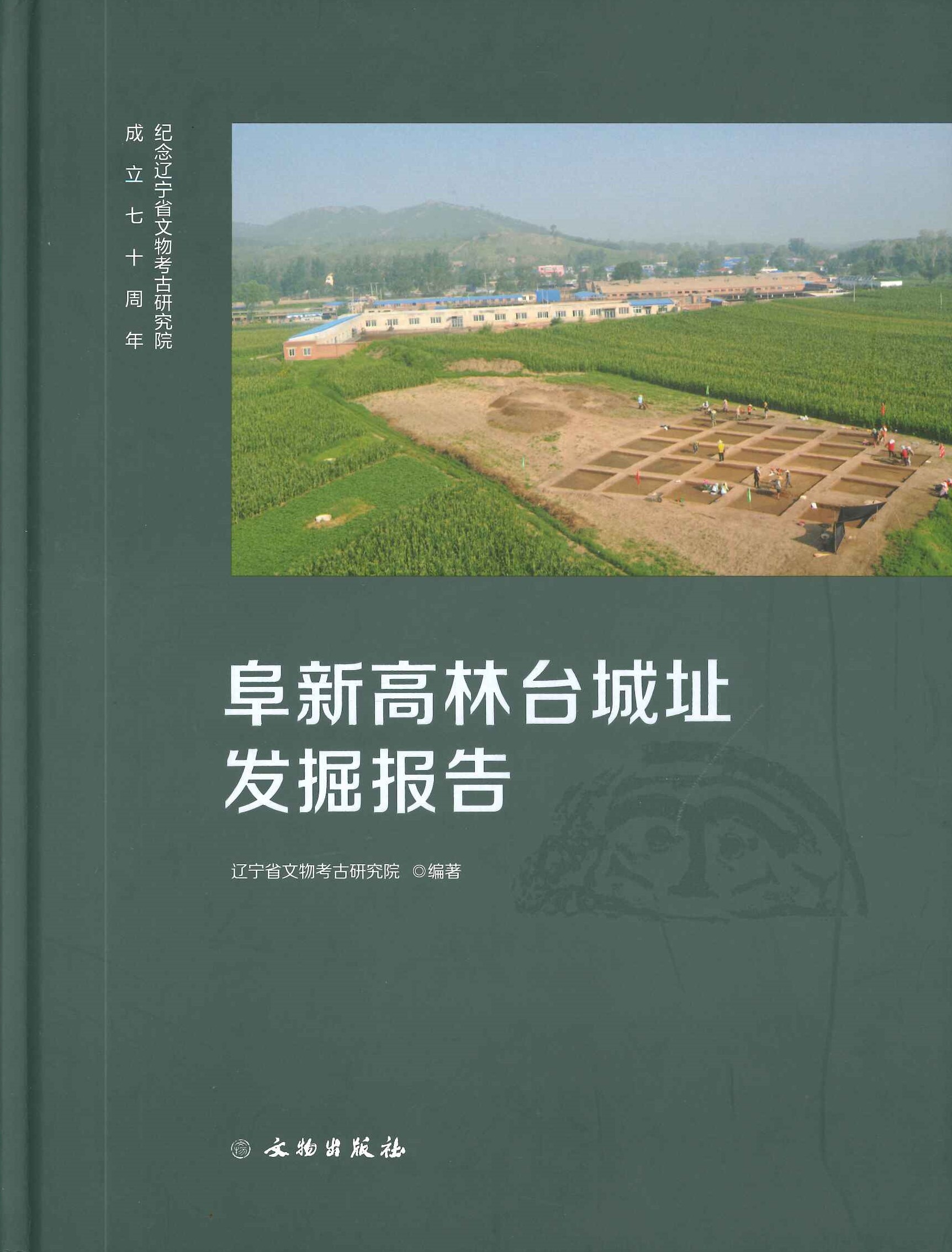 阜新高林台城址发掘报告