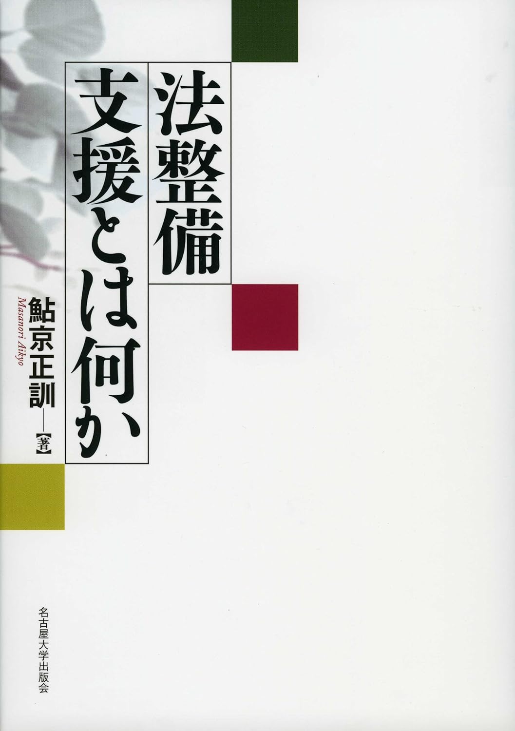 法整備支援とは何か