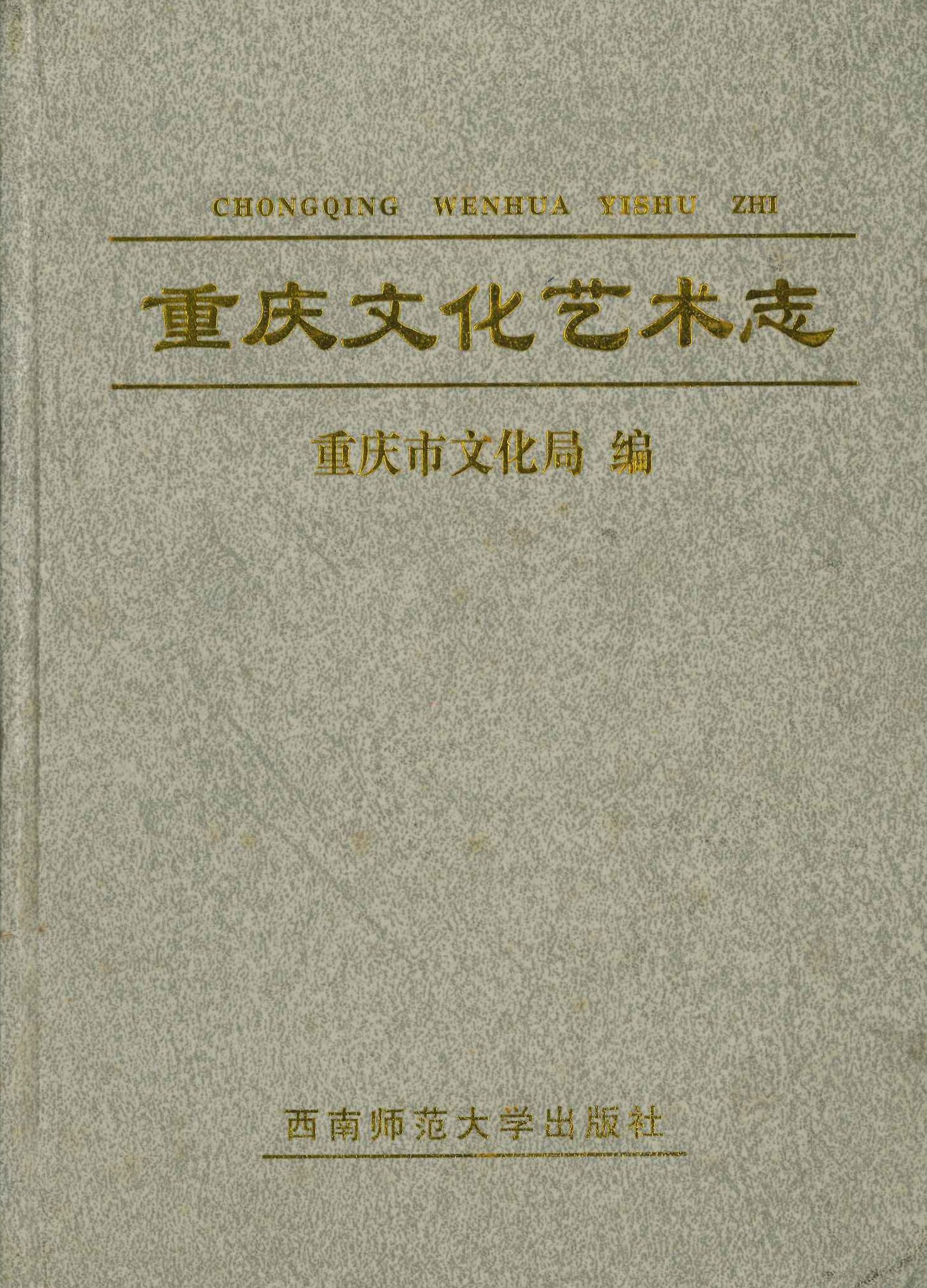 重庆文化艺术志