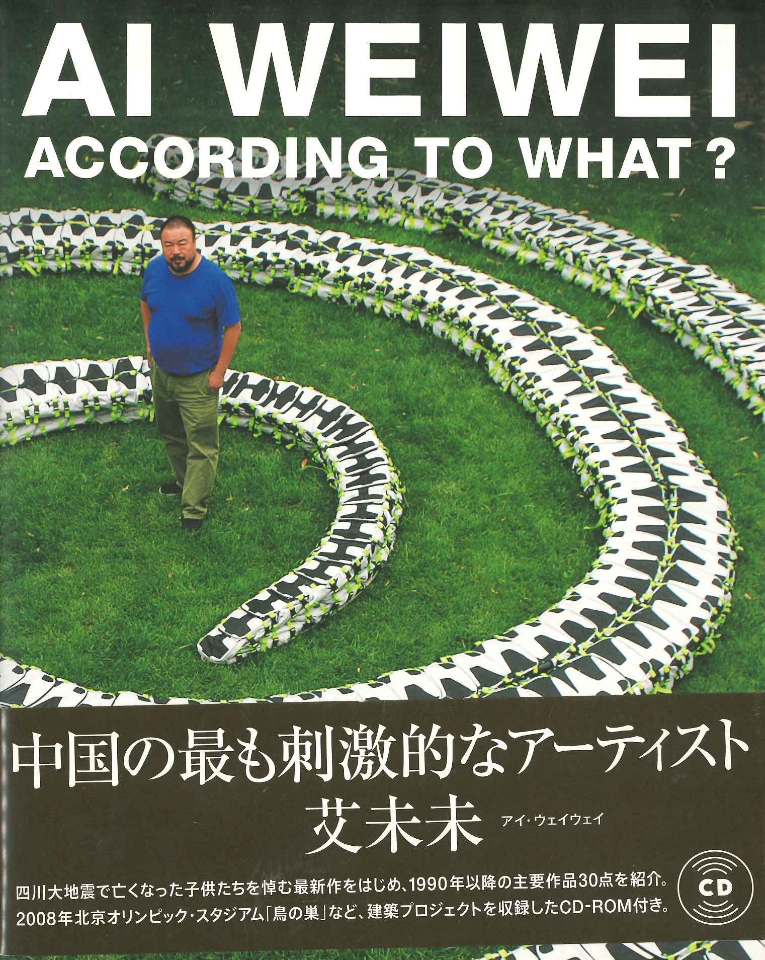 アイ・ウェイウェイ 何に因って？AI WEIWEI-According to What？